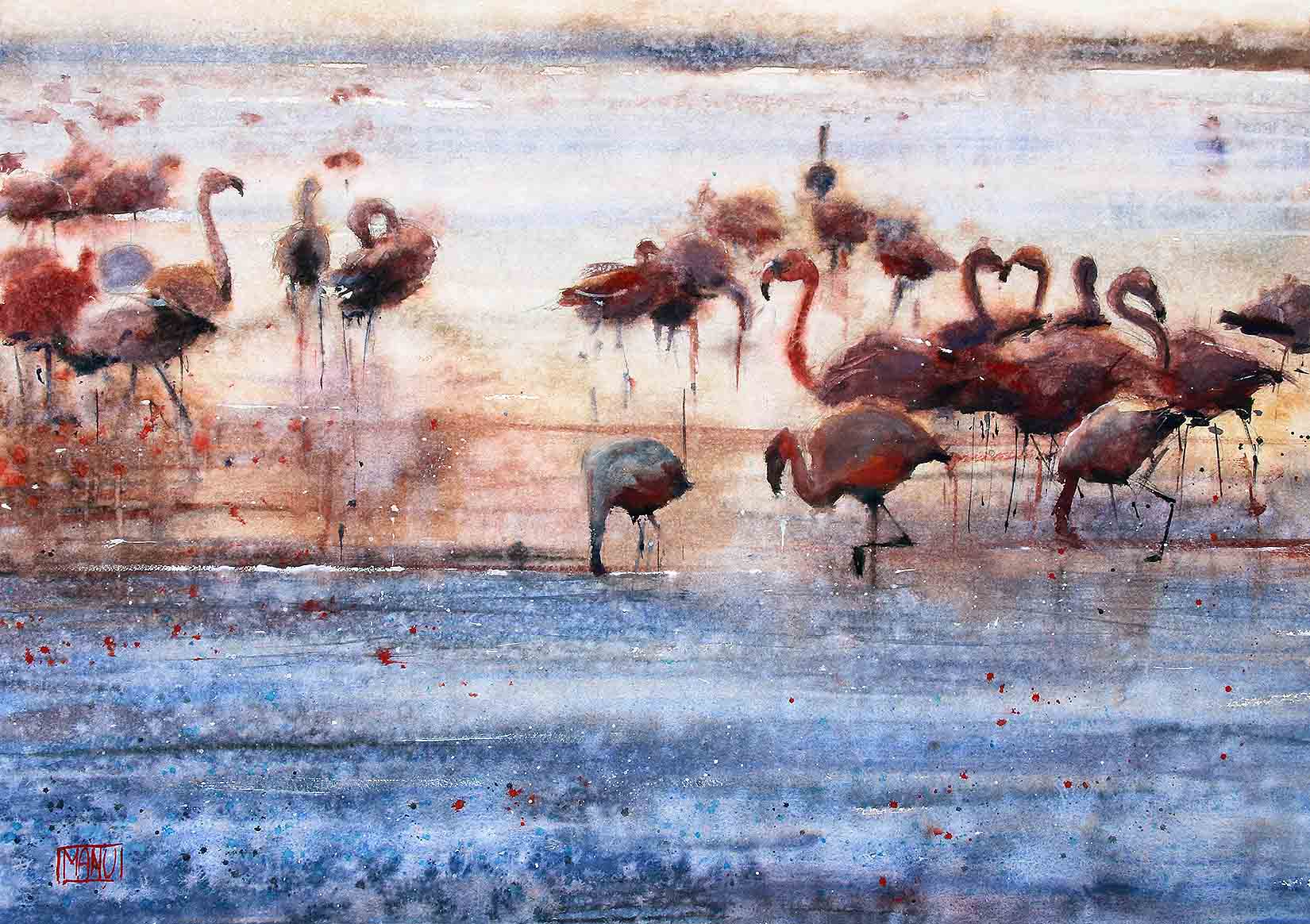 Fenicotteri nella laguna - Los Flamingos - Emmanuele Cammarano fine artist acquerello watercolor aquarelle