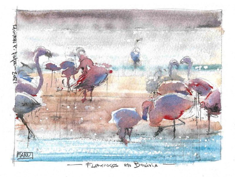 Flamingos Aquarelle Watercolour Emmanuele Cammarano fine artist